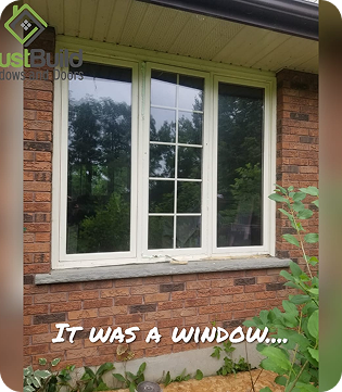 image - 2025-08-17T003149.204